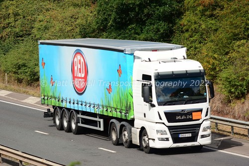 Truck photo 12x8 - 12x8, tgx