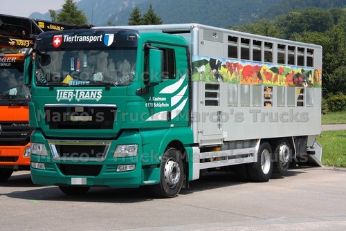 Truck photo man tgx livestock - truck,