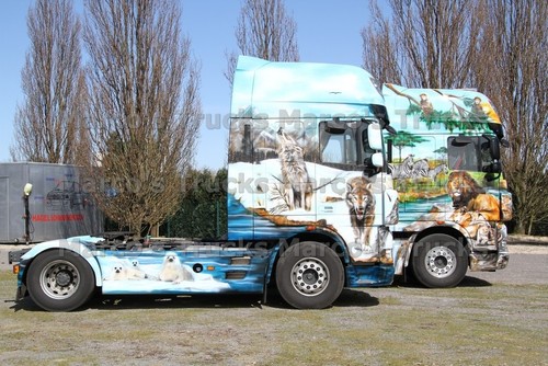 Truck photo man - tgx, tractor